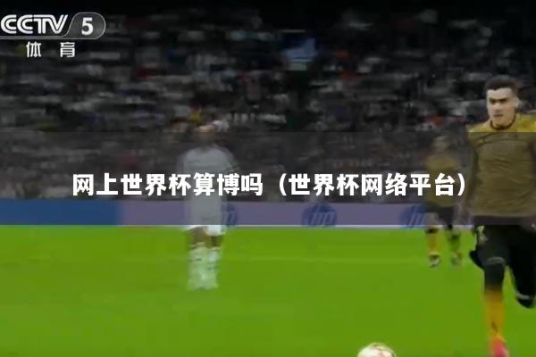 网上世界杯算博吗（世界杯网络平台）