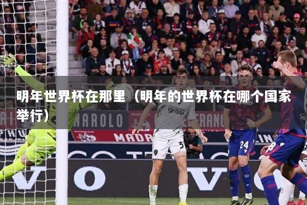 明年世界杯在那里（明年的世界杯在哪个国家举行）