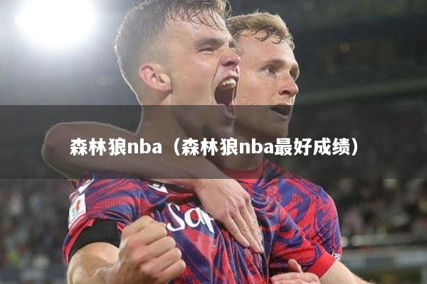 森林狼nba（森林狼nba最好成绩）