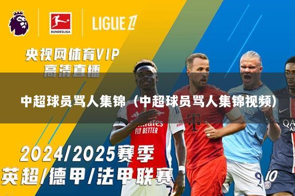 中超球员骂人集锦（中超球员骂人集锦视频）