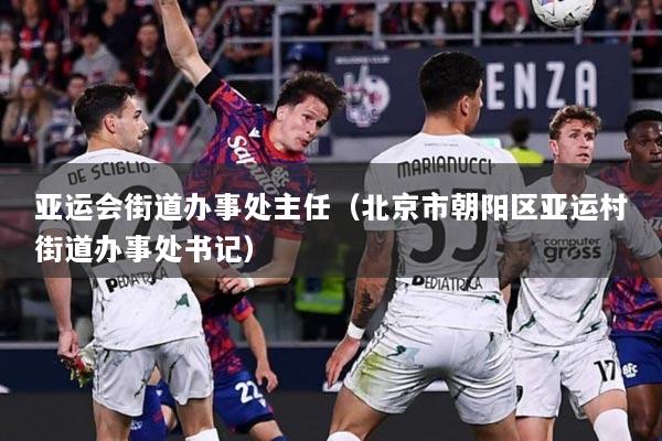 亚运会街道办事处主任（北京市朝阳区亚运村街道办事处书记）